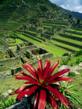 Stone Ruins, Machu Picchu, Peru Photographic Print by Jacob Halaska