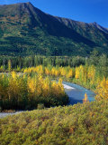 Mts and Trees in Autumn, Denali National Park, AK Photographic Print by Hal Gage