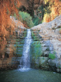 Shulamit Fall at En Gedi Reserve, Israel Photographic Print by Barry Winiker