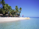 Island in Fiji Photographic Print by David Ball