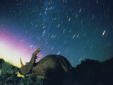Northern Lights and Meteor Trails over a Replica of a Styracosaurus Photographic Print by Jonathan Blair