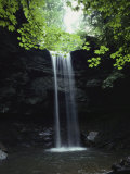 A Gentle Woodland Waterfall with Maple Trees Photographic Print by Bill Curtsinger