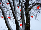 Warm Hearts Color a Tivoli Gardens Scene in Copenhagen, Denmark Photographic Print by Keenpress 