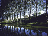 Elm Trees Lining Canal at Trebes, Thomas Jefferson's Journey in France Photographic Print by Walter Sanders