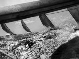 America's Cup Trial Race, Aboard "Nefertiti", Which is Leading Photographic Print by George Silk
