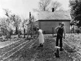 Couple Working in Garden on Farm Security Housing Project Photographic Print by Carl Mydans