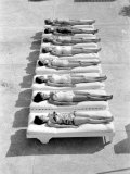 Fashion Models Wearing Swimsuits at a Florida Pool Photographic Print by Lisa Larsen
