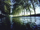 Elm Trees Line Languedoe Canal, Trebes, Southern France East of Toulouse Photographic Print by Walter Sanders