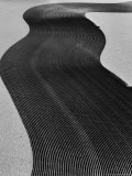 Aerial View of Two Tractors in Field Plowing Furrows in Methods Called "Listing" and "Contouring" Photographic Print by Margaret Bourke-White