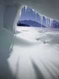 Ice Formations Photographic Print by Bill Curtsinger