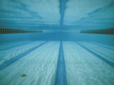 A Below-The-Surface View of a Swimming Pool Photographic Print by Bill Curtsinger