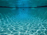 Underwater View in a Swimming Pool Photographic Print by Tim Laman
