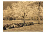 Smokies Fence  Prints by Wendy Caro