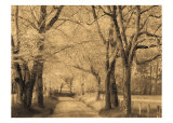 Smokies Road Posters by Wendy Caro
