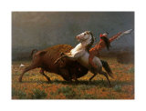 Le dernier bison Estampe par Albert Bierstadt