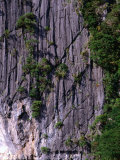 Boat on Lagoon by Cliff, El Nido, Philippines Photographic Print by Tom Cockrem