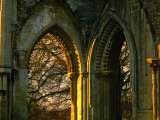 Arches of Glastonbury Abbey Ruins, Glastonbury, Somerset, England Photographic Print by Jon Davison
