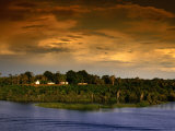 Forest at Sunset, Brazil Photographic Print by Wayne Walton
