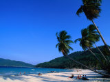Palm Trees on Long Beach, Pulau Perhentian Kecil, Malaysia Fotografie-Druck von Anders Blomqvist