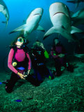 Kneeling in the Coral Rubble as Caribbean Reef Sharks Swim along the Tongue of the Ocean, Bahamas Photographic Print by Michael Lawrence