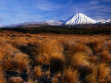 Mt. Ngauruhoe Through Grassy Landscape, Tongariro National Park, Manawatu-Wanganui, New Zealand Photographic Print by David Wall