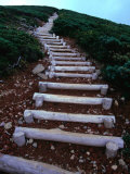 Wooden Steps on Mt. Hakkoda-San Hiking Trail in Aomori-Ken, Mt. Hakkoda-San, Japan Photographic Print by Mason Florence
