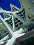 Detail of the City of Arts and Sciences Building, Valencia, Spain Photographic Print by Setchfield Neil