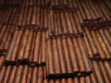 Stacks of Cigars in a Cigar Factory, Havana, Cuba Photographic Print by Mason Florence