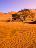 Sand Dune Landscape, Sossusvlei, Namibia World Heritage Site, Namib-Naukluft National Park, Namibia Photographic Print by Michele Westmorland