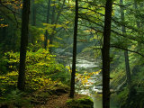 Texas Falls, Vermont, USA Photographie par Joe Restuccia III