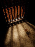 Old Elevator at Ground Floor, Paris, France Photographic Print by Michele Molinari