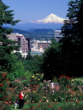 People at the Washington Park Rose Test Gardens with Mt Hood, Portland, Oregon, USA Photographic Print by Janis Miglavs