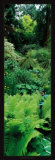 Garden of Eden, Titoki Point Garden, New Zealand  Poster by Alain Le Toquin