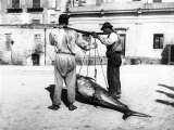 Two Men Carrying a Freshly-Caught Tuna. Palermo Fotografie-Druck