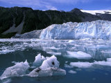 Icebergs Float Past Alalik Glacier, Kenai Fjords National Park, Alaska, USA Photographic Print by Paul Souders