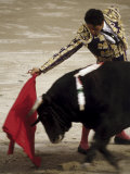 Spanish Bullfighter Camargue France Fotografie-Druck