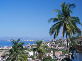 View of Downtown Puerto Vallarta and the Bay of Banderas, Mexico Photographic Print by John & Lisa Merrill
