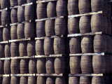 Bacardi Rum Ages in Oak Barrels, San Juan, Puerto Rico Photographic Print by Michele Molinari