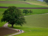 Bicycling in Basel Land, Jura Mountains, Switzerland Photographic Print by David Barnes