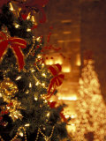 Christmas Decor at Trump Tower, New York, New York, USA Photographic Print by Michele Westmorland
