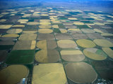 Overhead of Fields Marked by Irrigation Circles, San Luis Valley, USA Photographic Print by Jim Wark