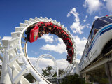 Rollercoaster, Sea World, Gold Coast, Queensland, Australia Photographic Print by David Wall