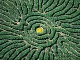 Aerial of Corn Maze in Denver Botanic Gardens, Denver, USA Photographic Print by Jim Wark