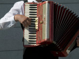 Street Accordionist, Prague, Czech Republic Photographic Print by David Barnes