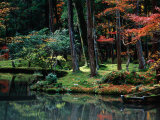 Saiho-Ji Garden in Autumn, Kyoto, Japan Photographic Print by Frank Carter