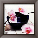 Orchid in a Bowl Posters by Stephane De Bourgies