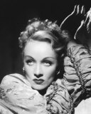 Marlene Dietrich Photographie