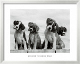 Wonder  Prints by Sharon Beals