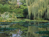 Claude Monet's Garden Pond in Giverny, France Photographie par Charles Sleicher