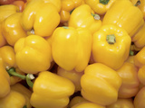 Pile of Ripe Yellow Peppers, Photographic Print